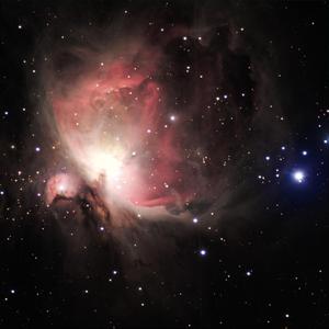 添女人的荫蒂视频
