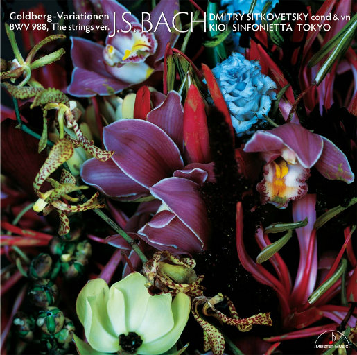 添女人的荫蒂视频
